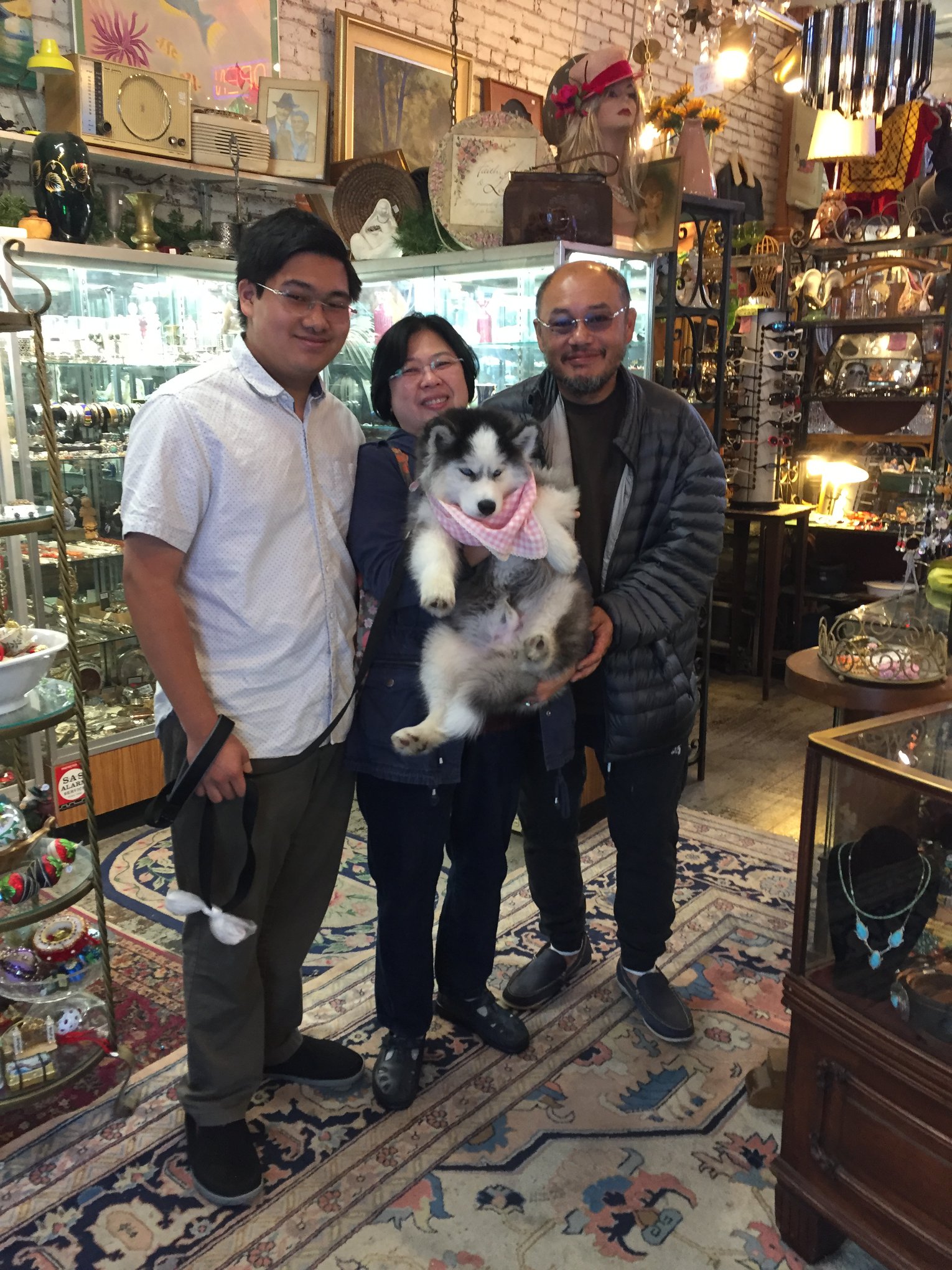 Family of customers in store holding dog